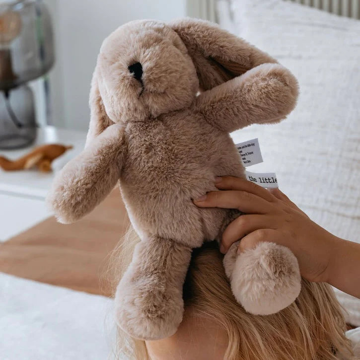 Hugh Rabbit - Medium