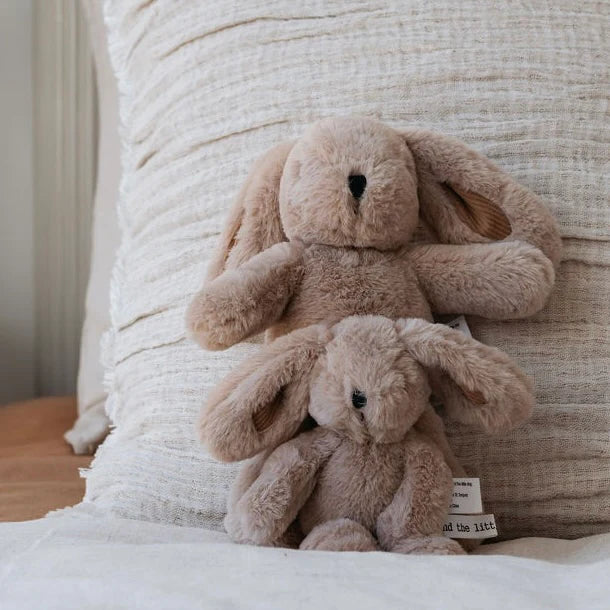 Hugh Rabbit - Medium