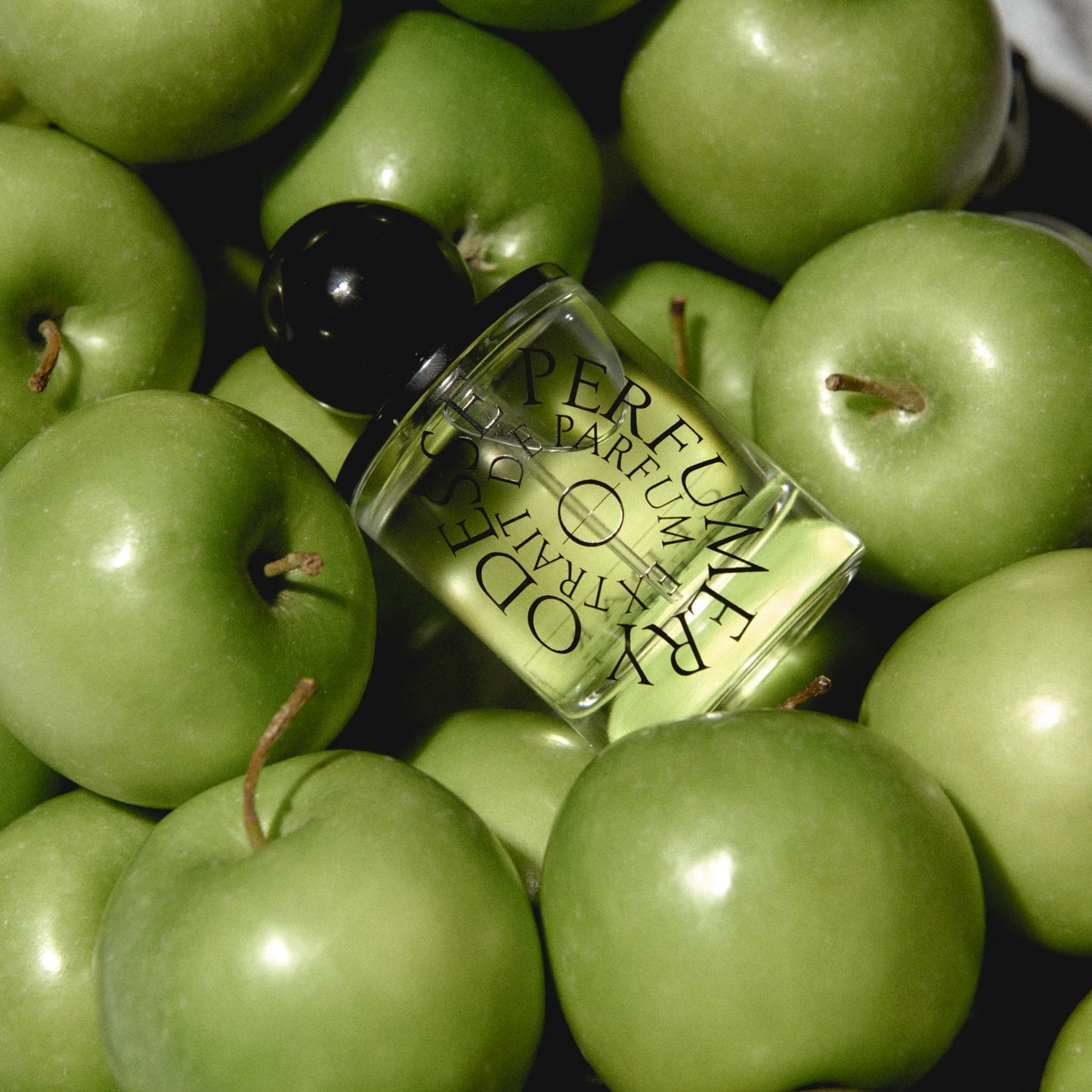 Cedar Street EDP Perfume