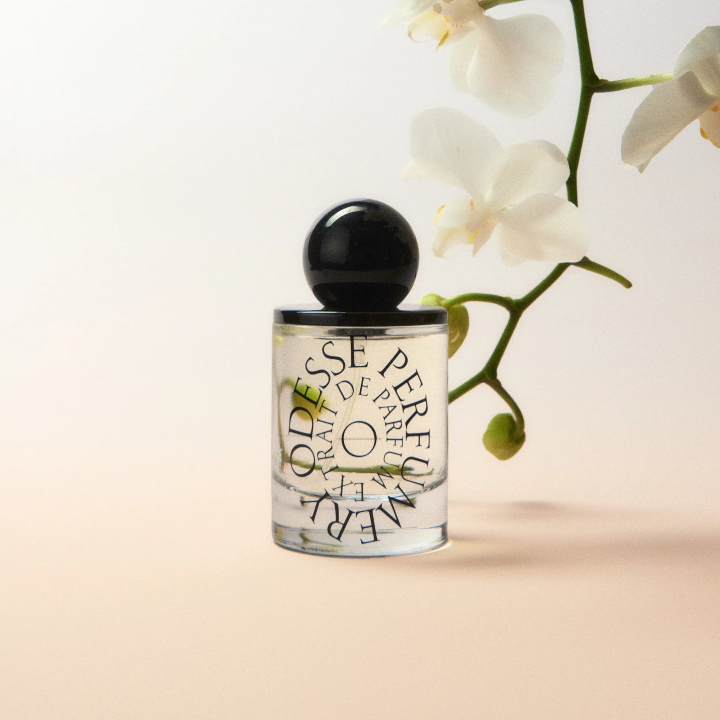 Deep Orchid EDP Purfume