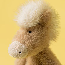 Cantermeigh Pony