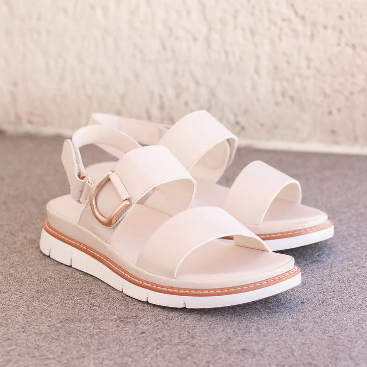 SANA W LOS CABOS BONE PU 37